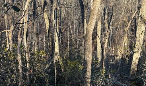 Photo #3 of wesley Drive, Madison Heights, VA 16.2 acres