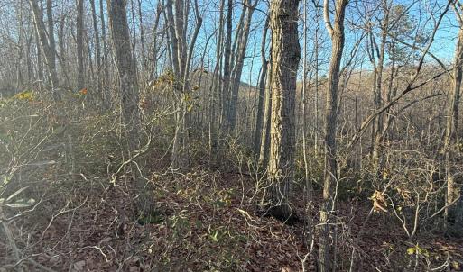 Photo #4 of wesley Drive, Madison Heights, VA 16.2 acres