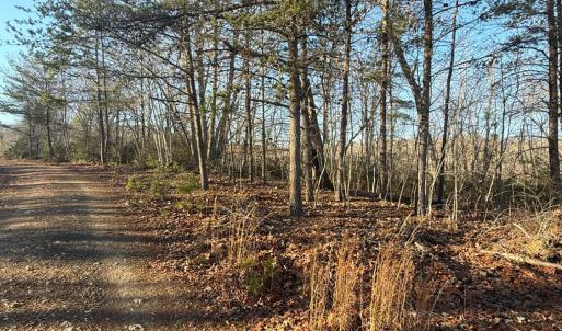 Photo #1 of wesley Drive, Madison Heights, VA 16.2 acres