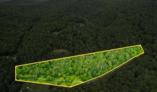 Photo #2 of Pedlar River Road, Vesuvius, VA 16.5 acres