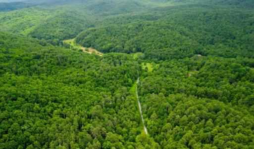 Photo #3 of Pedlar River Road, Vesuvius, VA 16.5 acres