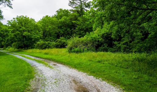 Photo #15 of Pedlar River Road, Vesuvius, VA 16.5 acres