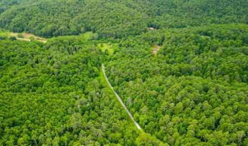 Photo #11 of Pedlar River Road, Vesuvius, VA 16.5 acres