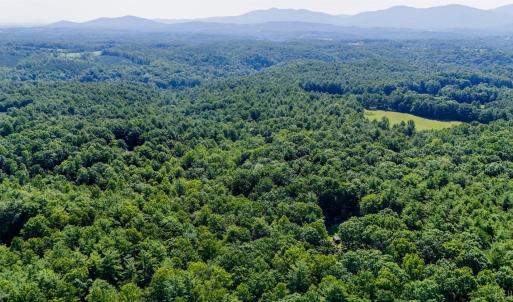 Photo #13 of Love Lady Creek, Monroe, VA 17.0 acres