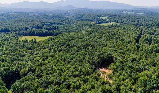 Photo #14 of Love Lady Creek, Monroe, VA 17.0 acres