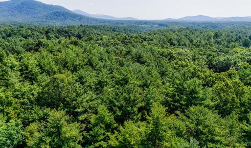 Photo #12 of Love Lady Creek, Monroe, VA 17.0 acres