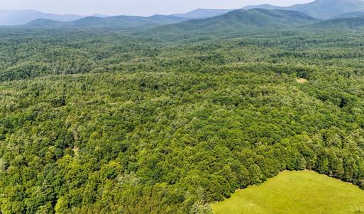 Photo #26 of Love Lady Creek, Monroe, VA 17.0 acres