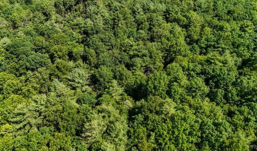Photo #10 of Love Lady Creek, Monroe, VA 17.0 acres