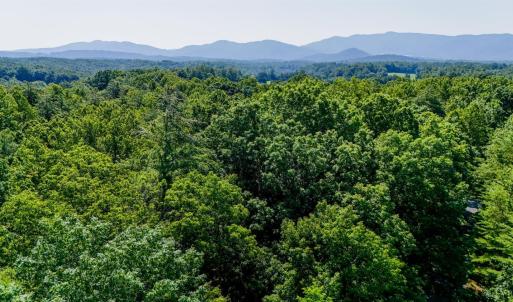 Photo #21 of Love Lady Creek, Monroe, VA 17.0 acres