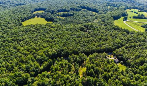 Photo #17 of Love Lady Creek, Monroe, VA 17.0 acres