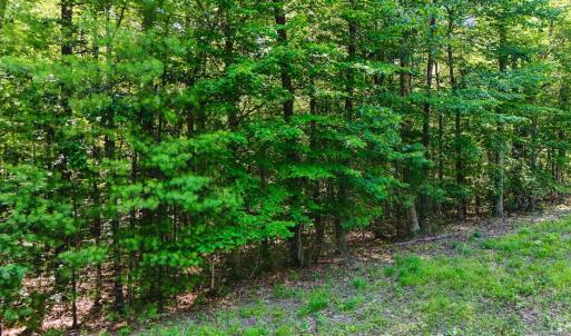 Photo #27 of Love Lady Creek, Monroe, VA 17.0 acres