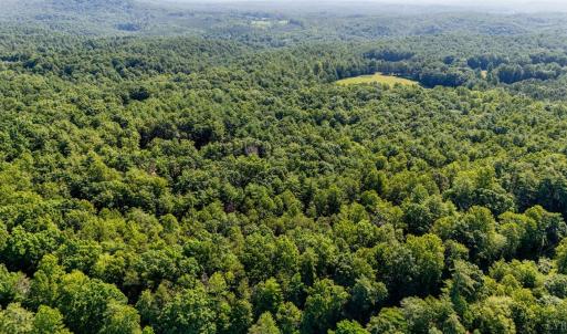 Photo #7 of Love Lady Creek, Monroe, VA 17.0 acres