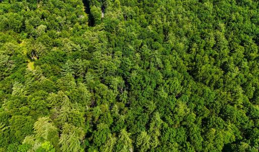 Photo #23 of Love Lady Creek, Monroe, VA 17.0 acres