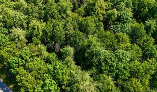 Photo #22 of Love Lady Creek, Monroe, VA 17.0 acres