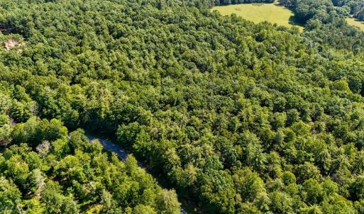 Photo #18 of Love Lady Creek, Monroe, VA 17.0 acres