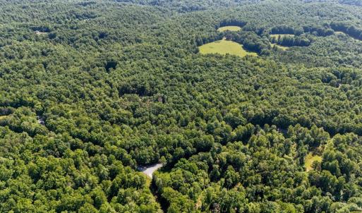 Photo #16 of Love Lady Creek, Monroe, VA 17.0 acres