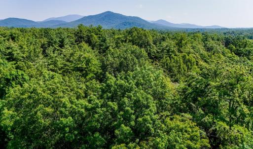 Photo #20 of Love Lady Creek, Monroe, VA 17.0 acres