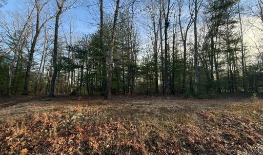 Photo #11 of 1 Lot Blue Sky Court, Monroe, VA 2.1 acres