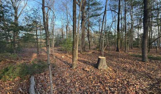 Photo #3 of 1 Lot Blue Sky Court, Monroe, VA 2.1 acres