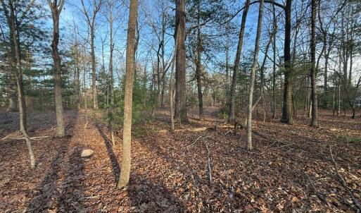 Photo #6 of 1 Lot Blue Sky Court, Monroe, VA 2.1 acres
