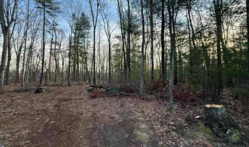 Photo #5 of 1 Lot Blue Sky Court, Monroe, VA 2.1 acres