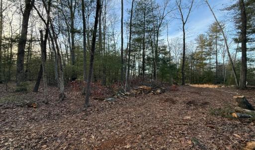 Photo #10 of 1 Lot Blue Sky Court, Monroe, VA 2.1 acres
