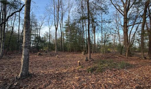 Photo #7 of 1 Lot Blue Sky Court, Monroe, VA 2.1 acres