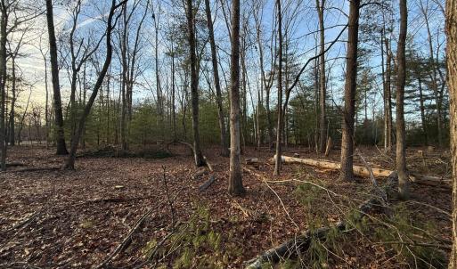Photo #8 of 1 Lot Blue Sky Court, Monroe, VA 2.1 acres