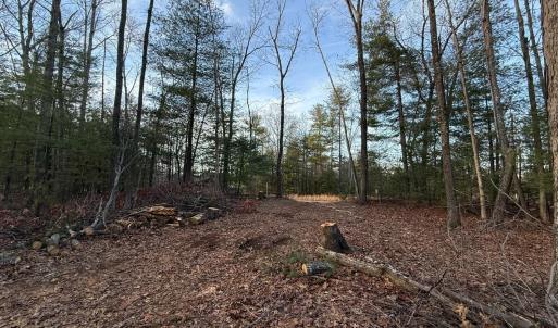 Photo #4 of 1 Lot Blue Sky Court, Monroe, VA 2.1 acres
