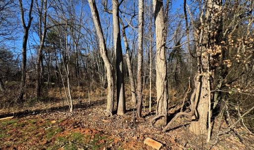 Photo #4 of 7105 Richmond Highway, Appomattox, VA 3.5 acres