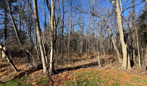 Photo #2 of 7105 Richmond Highway, Appomattox, VA 3.5 acres