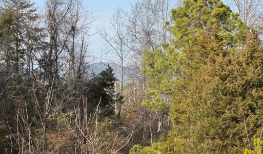 Photo #2 of Watt Abbitt Road, Appomattox, VA 42.7 acres