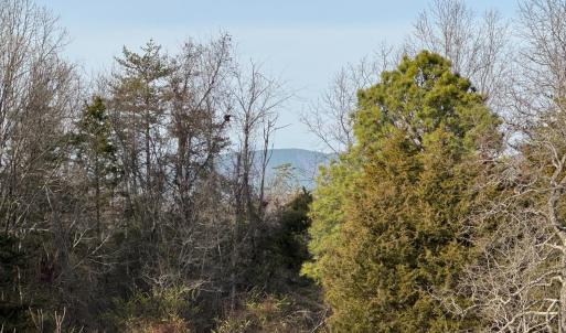 Photo #1 of Watt Abbitt Road, Appomattox, VA 42.7 acres