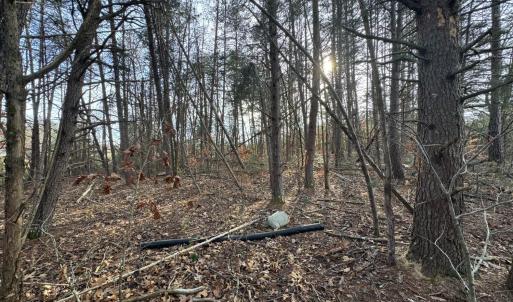 Photo #5 of Watt Abbitt Road, Appomattox, VA 42.7 acres
