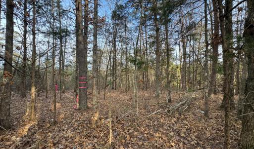 Photo #9 of Watt Abbitt Road, Appomattox, VA 42.7 acres