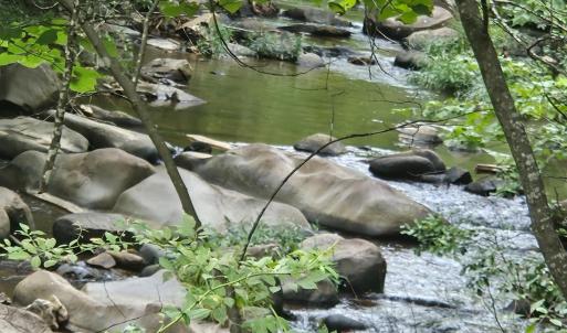 Photo #2 of Earley Farm Rd, Madison Heights, VA 58.4 acres