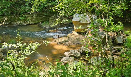 Photo #8 of Earley Farm Rd, Madison Heights, VA 58.4 acres