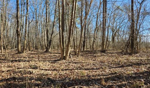 Photo #10 of Rose Lane, Nathalie, VA 94.0 acres