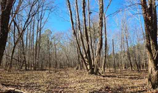 Photo #11 of Rose Lane, Nathalie, VA 94.0 acres
