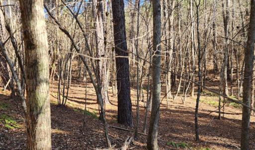 Photo #8 of Rose Lane, Nathalie, VA 94.0 acres