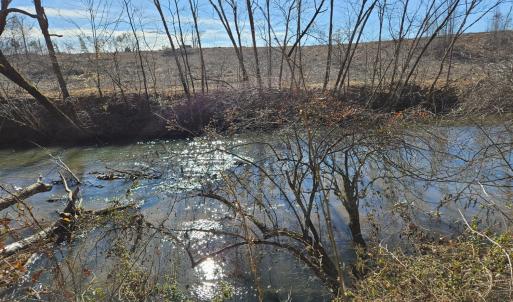 Photo #6 of Rose Lane, Nathalie, VA 94.0 acres