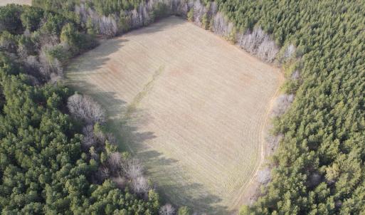 Photo #5 of TN Snow Road, Nathalie, VA 44.1 acres