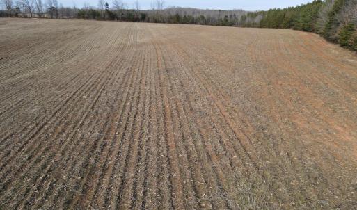 Photo #2 of TN Snow Road, Nathalie, VA 44.1 acres