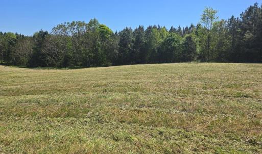 Photo #3 of TN Snow Road, Nathalie, VA 44.1 acres