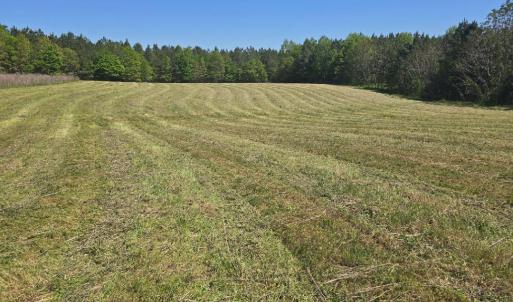 Photo #6 of TN Snow Road, Nathalie, VA 44.1 acres
