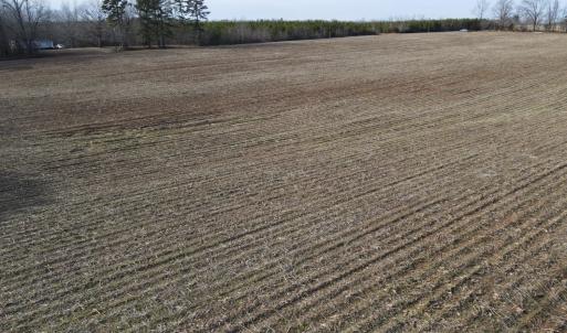 Photo #9 of TN Snow Road, Nathalie, VA 44.1 acres