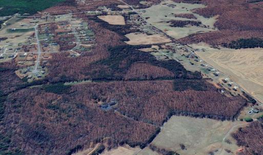 Photo #4 of W Haven Lane, Concord, VA 52.0 acres