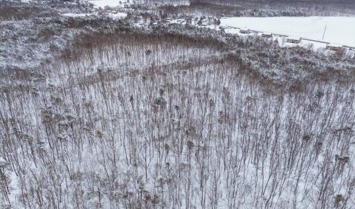 Photo #12 of W Haven Lane, Concord, VA 52.0 acres