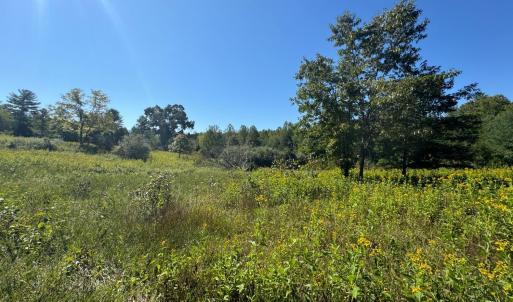 Photo #2 of Waughs Ferry Xing, Monroe, VA 39.9 acres