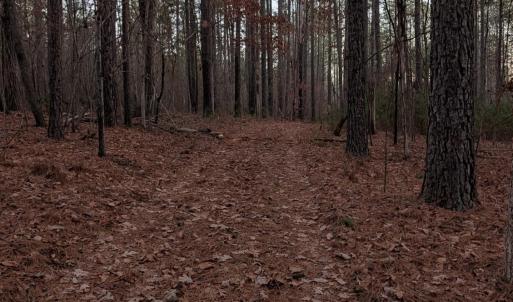 Photo #10 of 4374 Tye River, Amherst, VA 10.0 acres